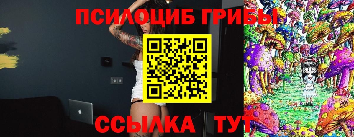 Псилоцибиновые грибы мухоморы Казань
