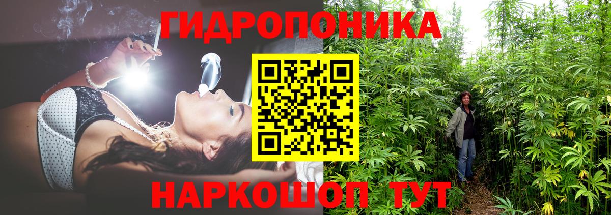Шишки марихуана семена Казань